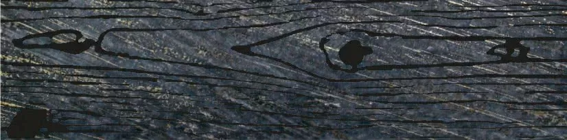 Керамогранит LACCHE LEGNI NERO 30x60 (комплект 2шт)