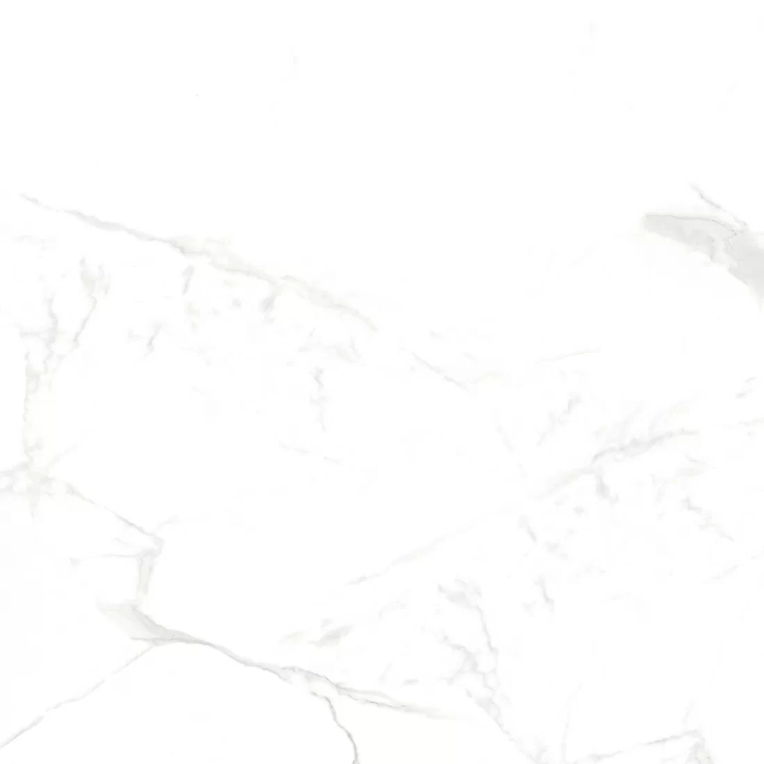 Керамогранит NTT996070M Callacata Carving 60x60