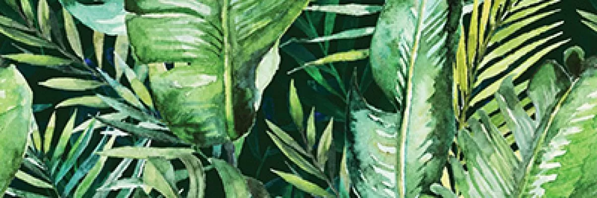 Плитка Braga Tropic B Rect 25x75