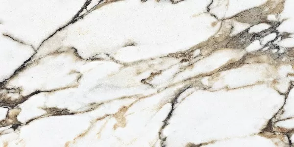 Керамогранит E-13097 POLISHED 60x120