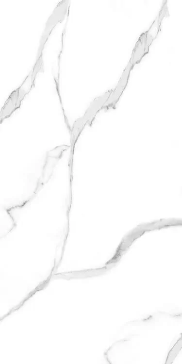 Керамогранит 1033 Carrara White 9mm Mate 120x60