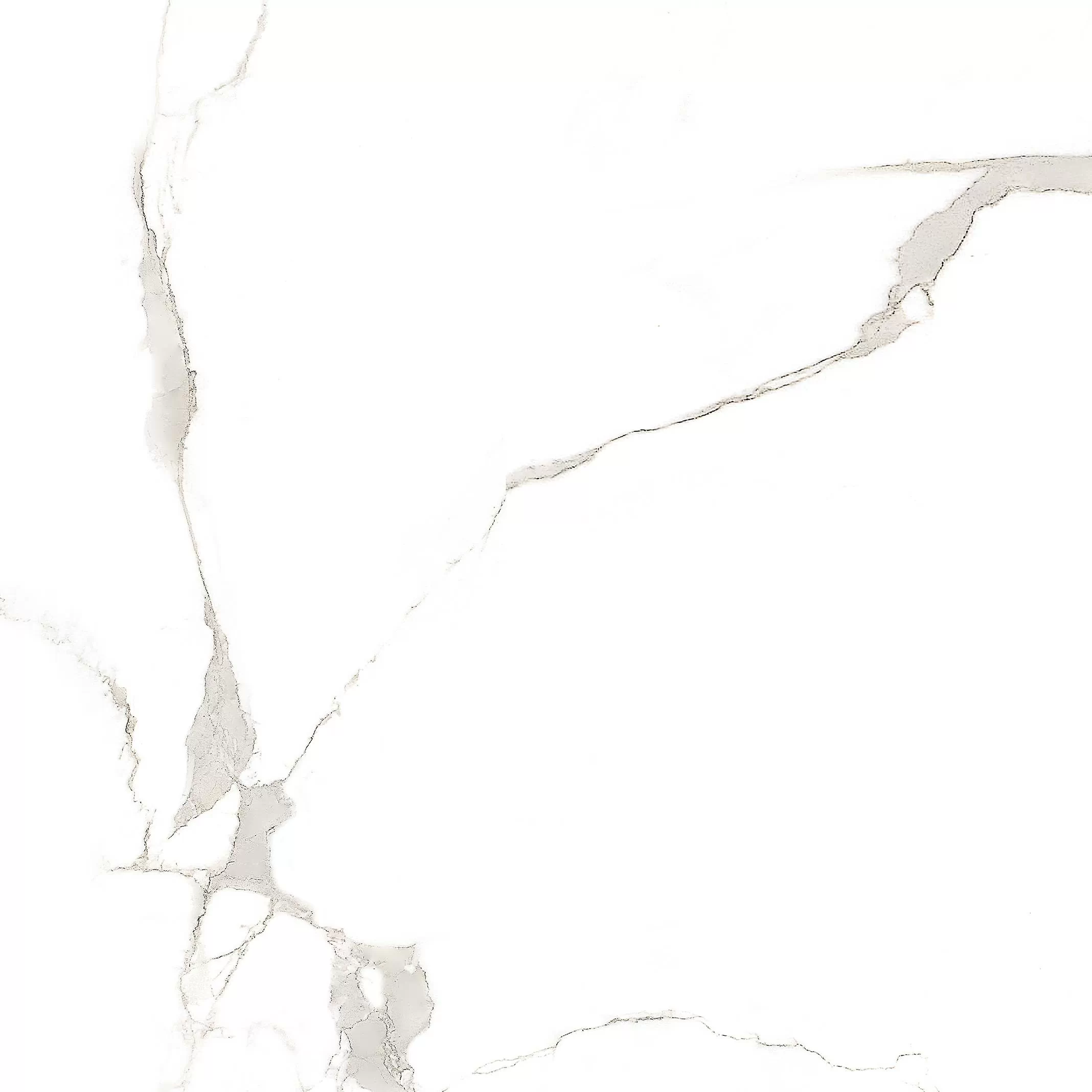 Керамогранит Carrara White 60х60