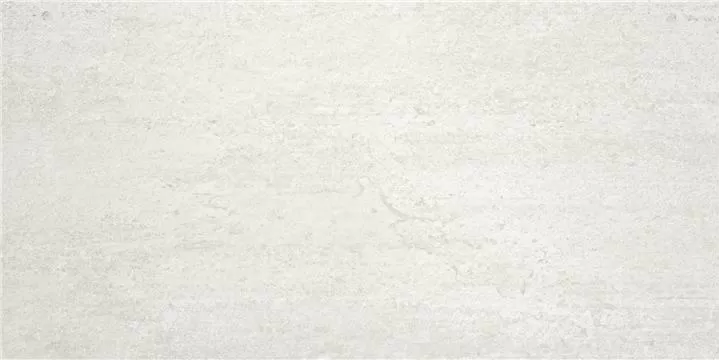 Керамогранит Mysore White 60*120