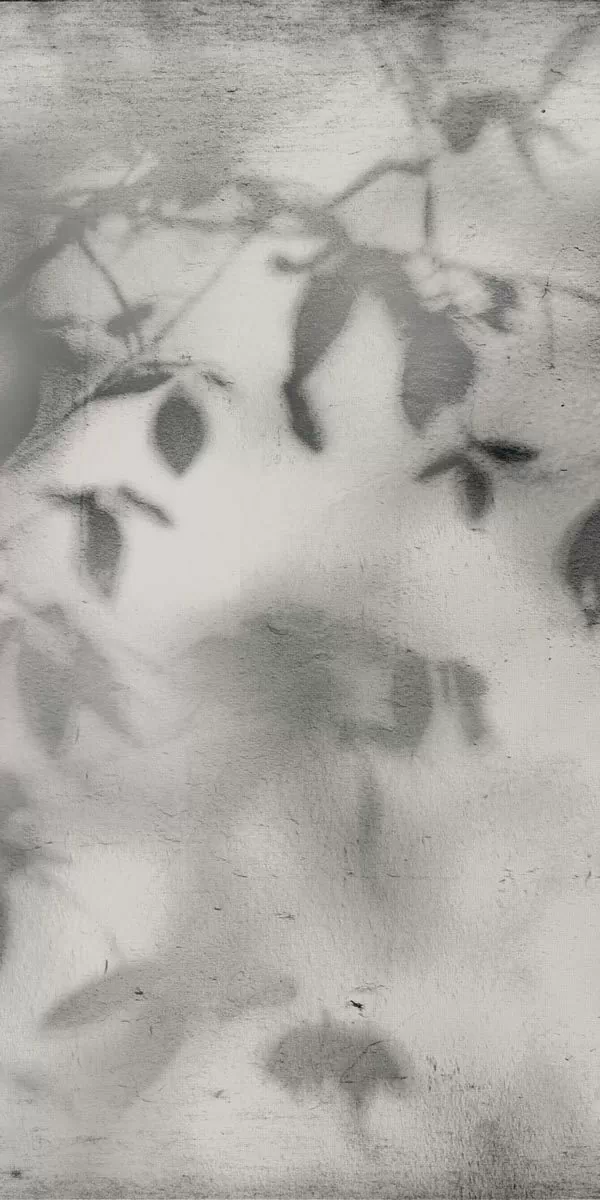 Керамогранит PF60012582 Art Walls Shadow Nat R 60x120