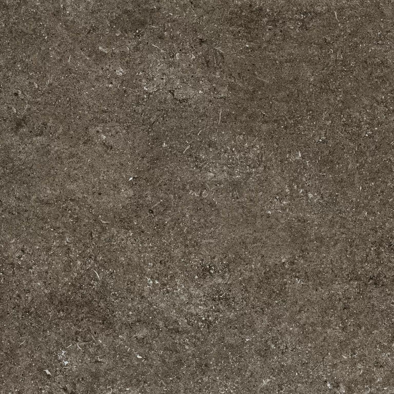 Керамогранит 768380 Sensi Brown Fossil R+PTV Ret 80x80