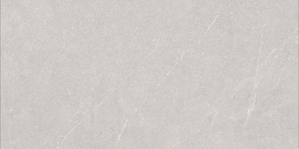Керамогранит Elenta Ash Carving 60x120