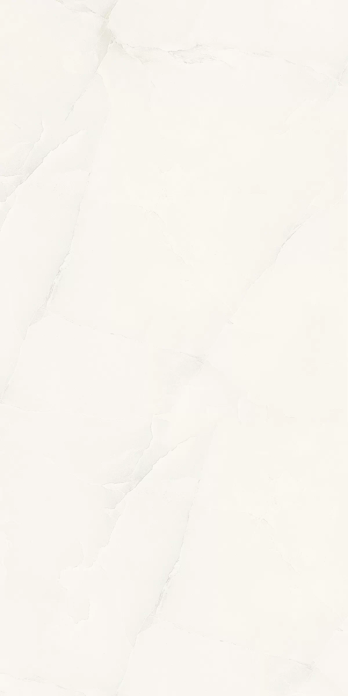 Керамогранит 892 Elvine Grey 120x60