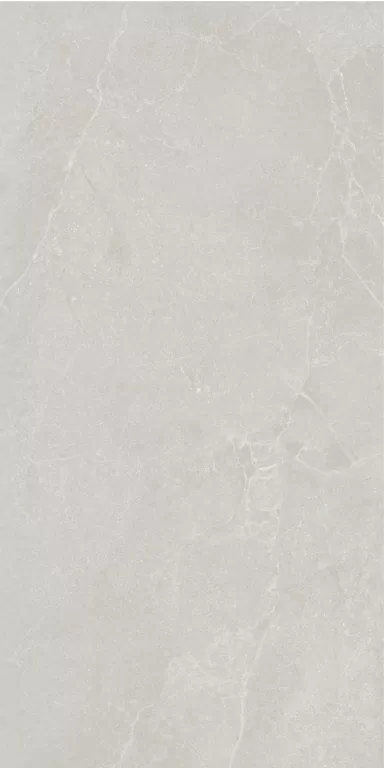 Керамогранит 199002 Noble Stone Grey Nat Ret 60х120