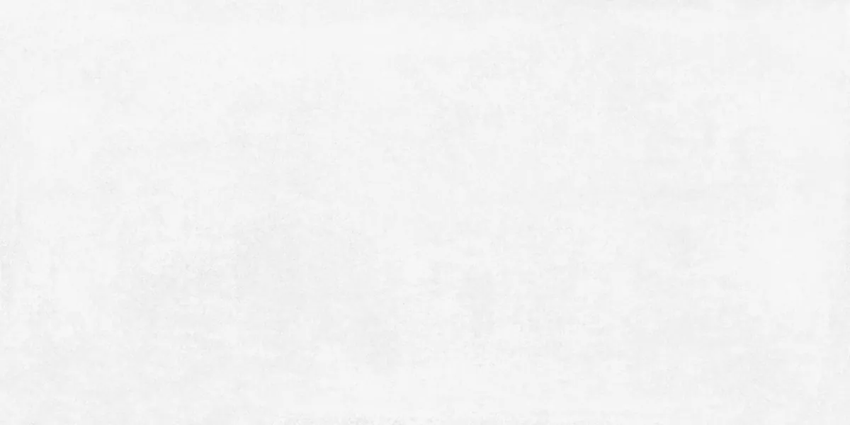 Керамогранит Betonica Blanco PRO светло-серый матовый R10Soft 60х120