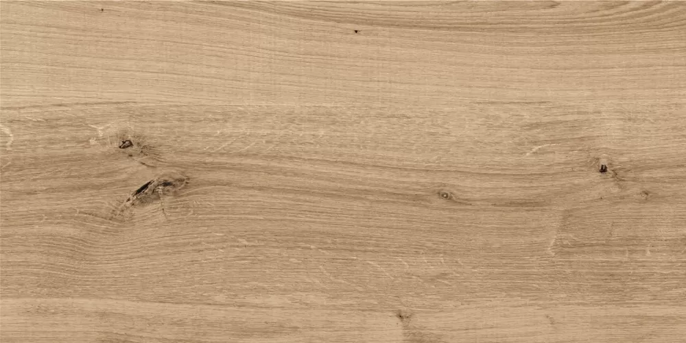 Керамогранит C-WS4O152D Woodhouse темно-бежевый 29,7х59,8