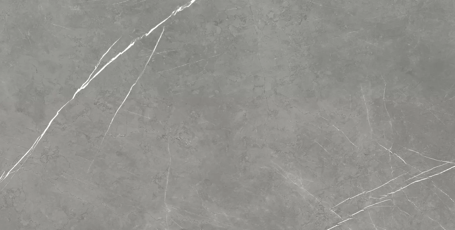 Керамогранит 610015000665 Forte dei Marmi Elegant Grey Lapp 80x160