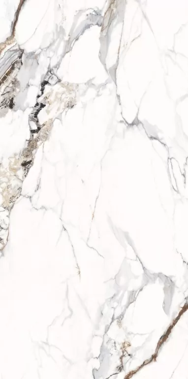 Керамогранит NTT3005P Breccia Capria 120x240