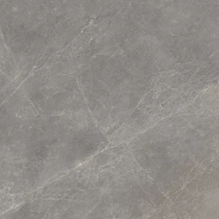 Керамогранит 100336888 Mystic Grey L 120x120