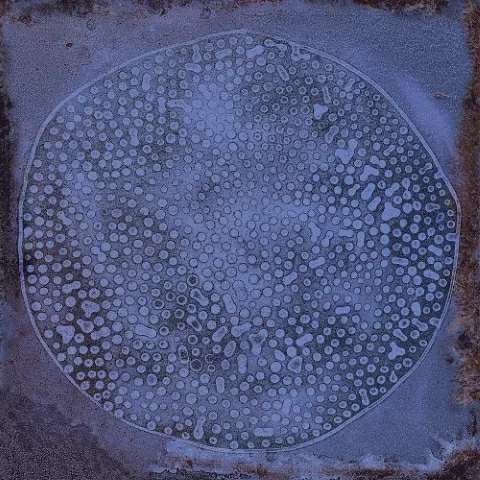 Плитка Carlo Marino-B 20x20