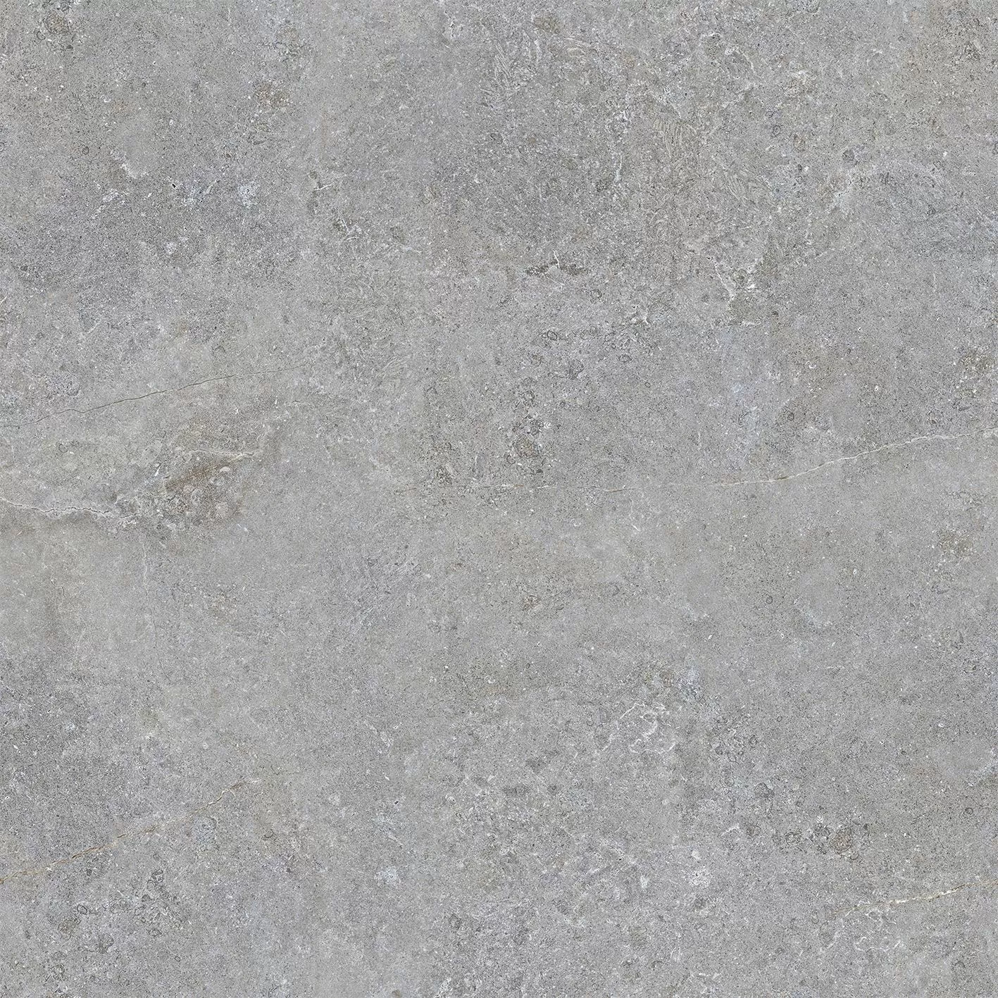 Керамогранит 100310608 Hannover Silver 59,6x59,6