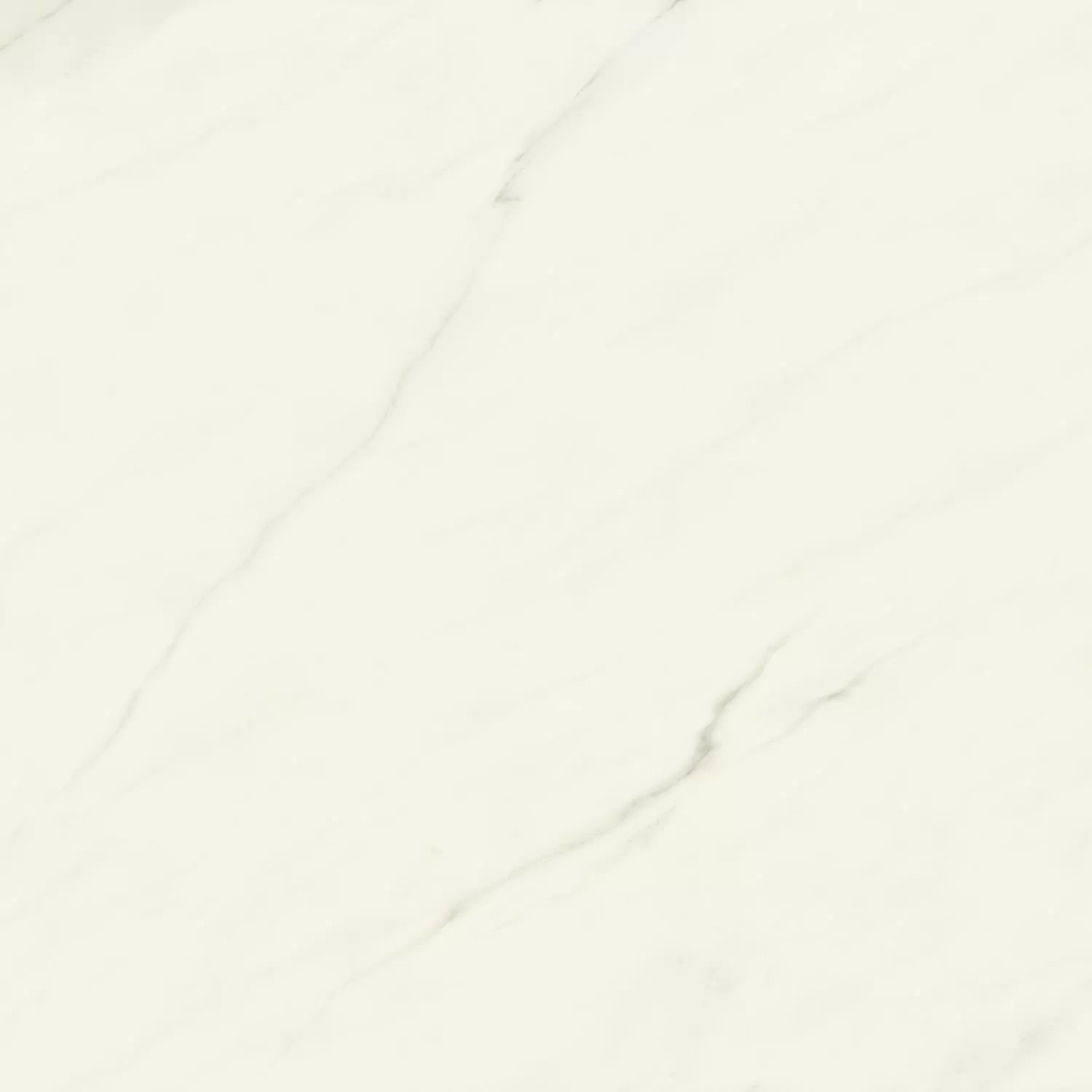 Керамогранит AJII Marvel Meraviglia Calacatta Meraviglia Velvet 120x120