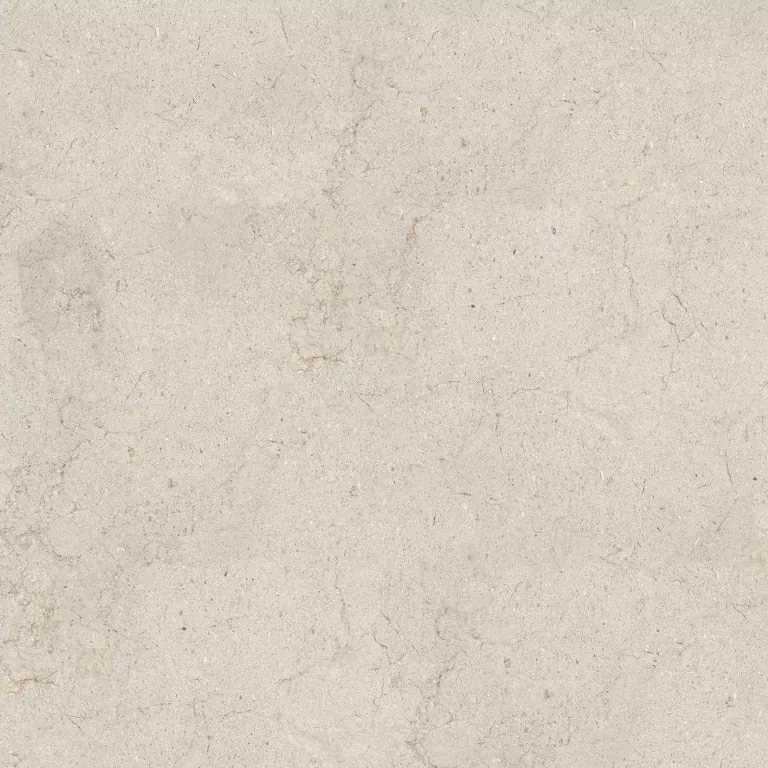 Керамогранит 100348020 Dorcia Bone L 120x120