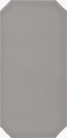 Плитка OTT5 OTTAGONO TORTORA 13X26