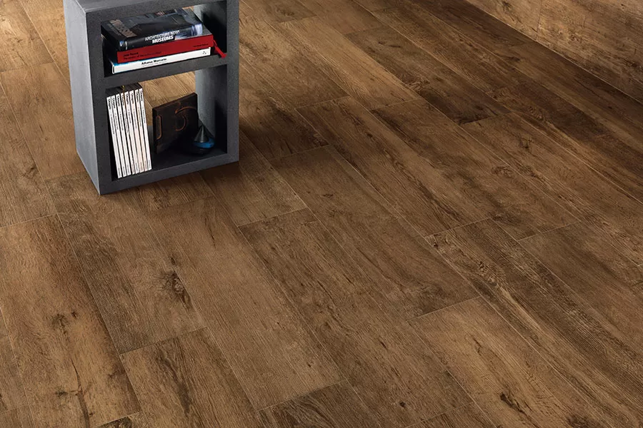 Керамогранит ANIT Axi Brown Chestnut Rosone Mini 45x45