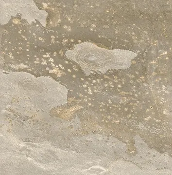 Керамогранит Bali Sand In&Out 60x60