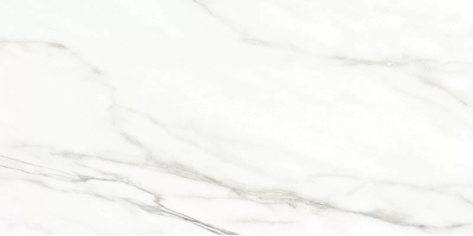Плитка TWU2550EPH04 Euphoria 249x500x7
