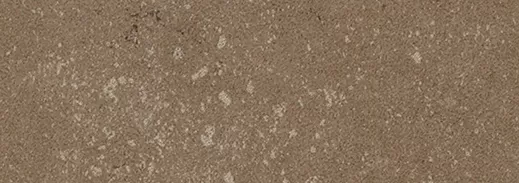 Керамогранит Buxy Noisette 300x100