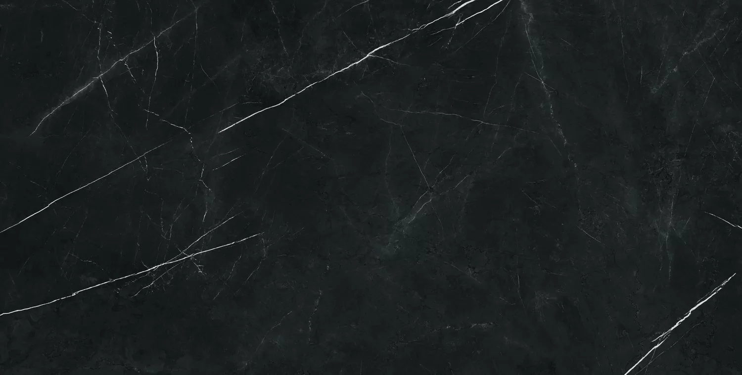 Керамогранит 610015000667 Forte dei Marmi Elegant Black Lapp 80x160