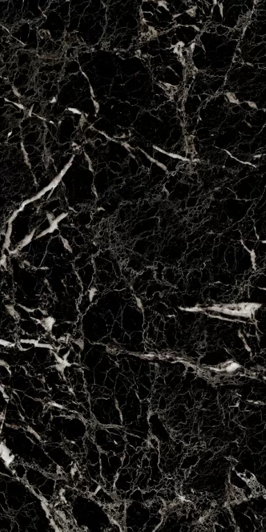 Керамогранит 964 Luminia Black 120x60