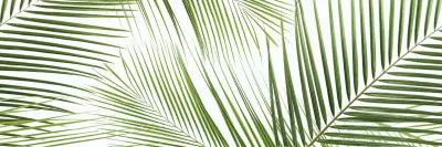 Плитка Панно Brennero Tropic (2) 50x75