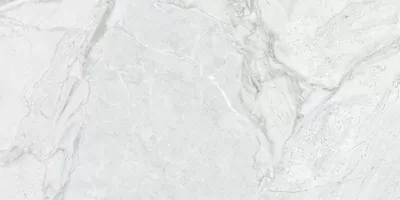 Керамогранит Agnesina Bianco Matt Carving 60х120