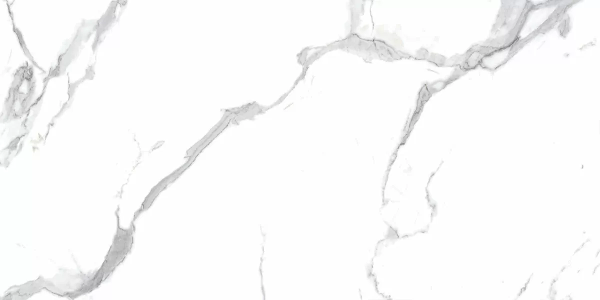Керамогранит Calacatta Splendid Silver Белый Полированный 60х120