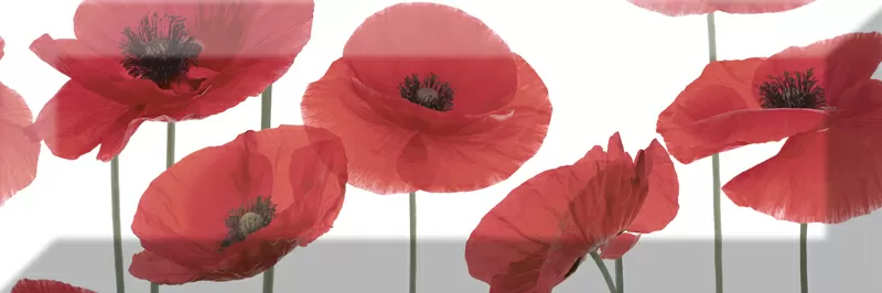 Плитка Decor Poppy 04 10X30