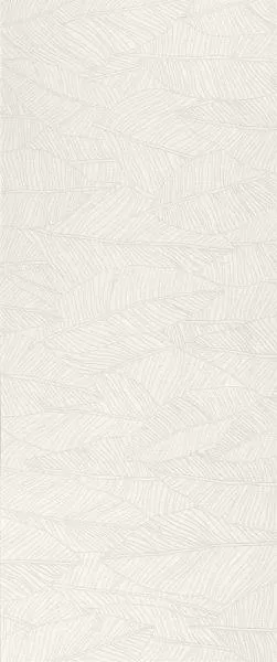 Плитка A6FC White Leaf 50x120