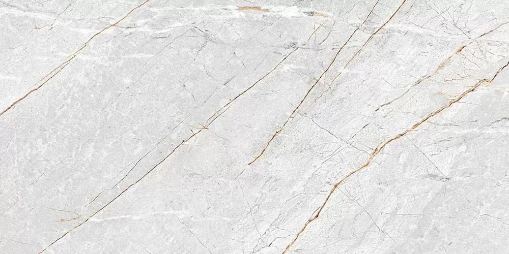 Плитка GT136VG Aventura Серый 50x25