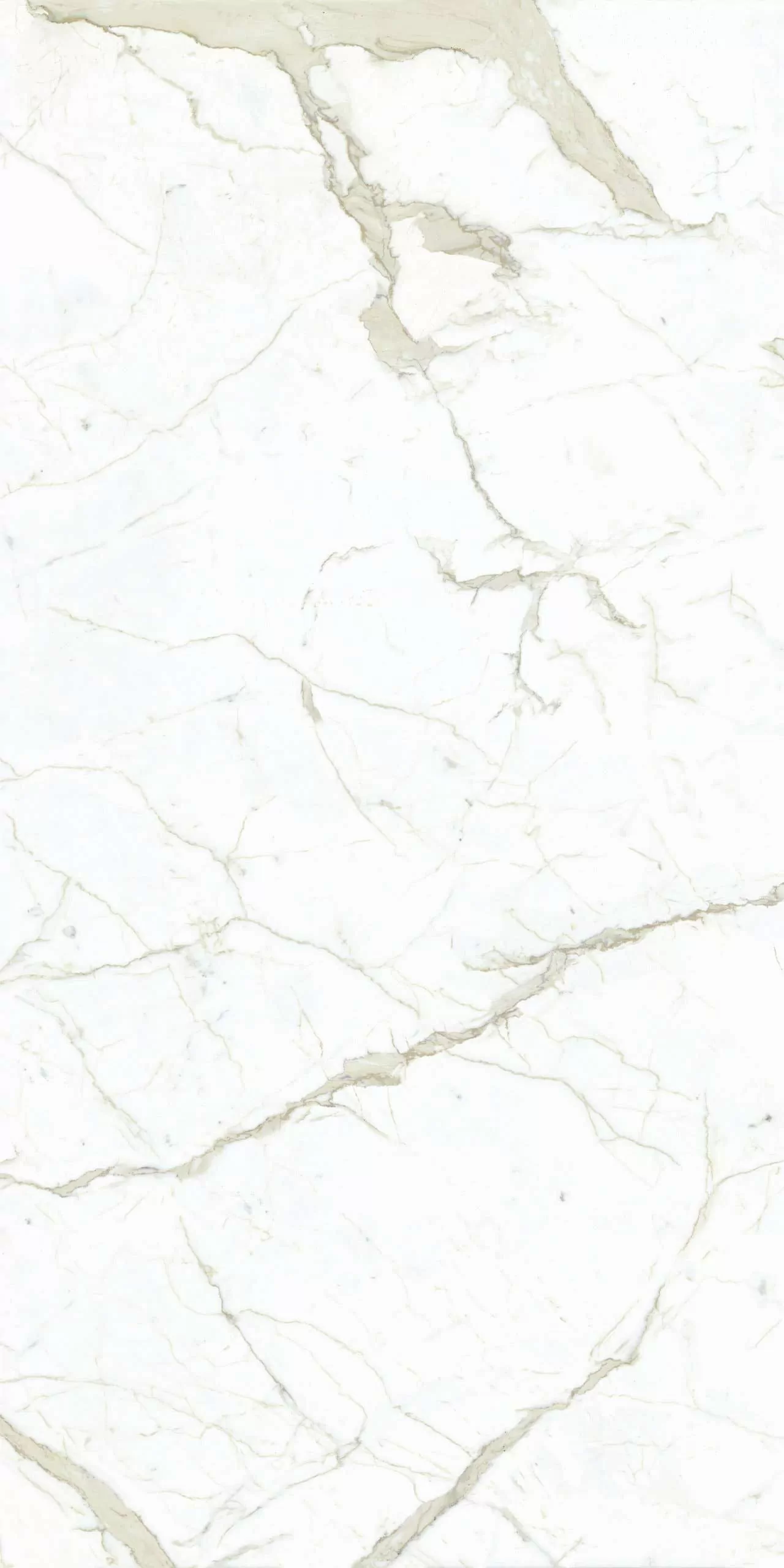 Керамогранит LU628389 Calacatta White Lucido 8mm 60x120