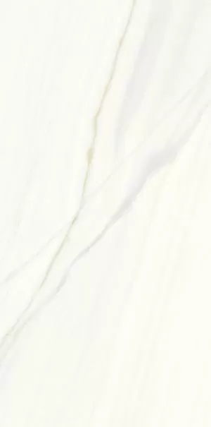 Керамогранит P612480 Bianco Covelano Soft 60x120