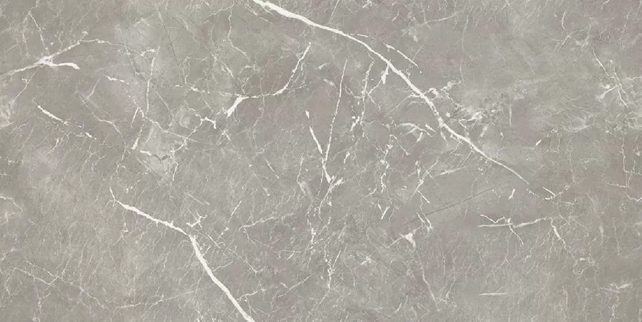 Керамогранит Charm Grey Polish 60x120