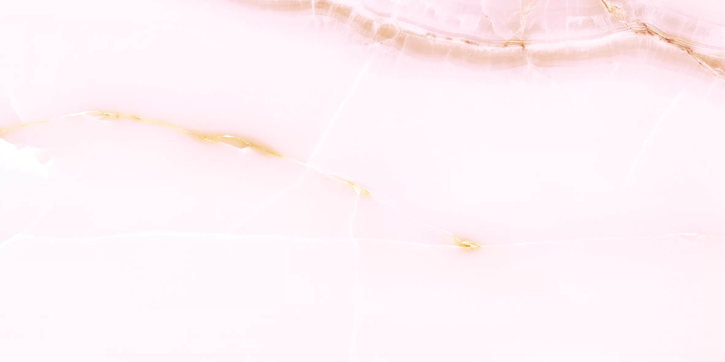Rosa Onice