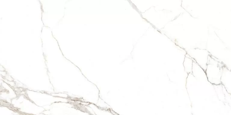 Керамогранит NTT9122M Barbara White Mat 60x120