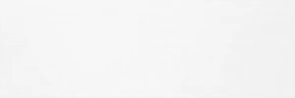 Плитка Snow Glossy Rett 25x75