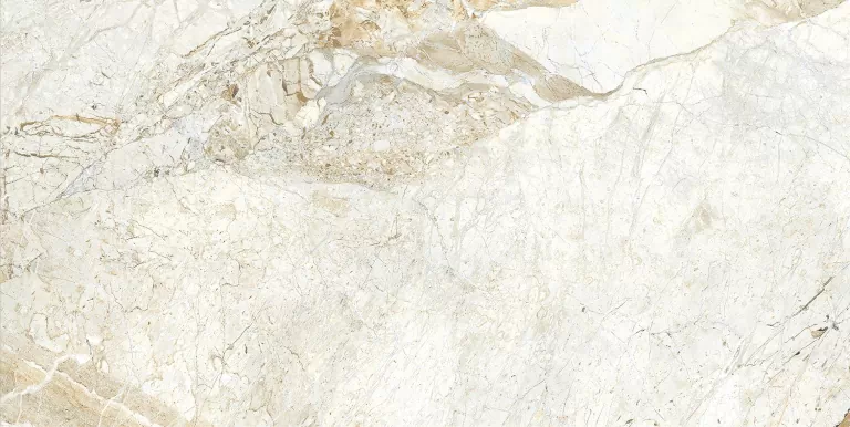 Керамогранит Breccia Pol. 60x120