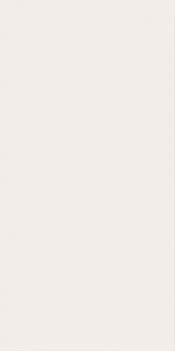 Плитка 600010002159 White Mat 40x80