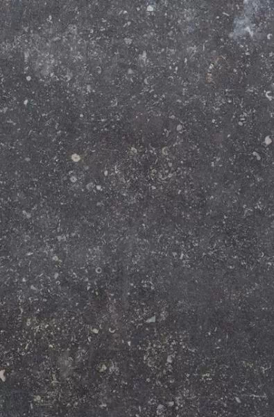 Керамогранит 10759761 Ardenne Nero 40x60.8