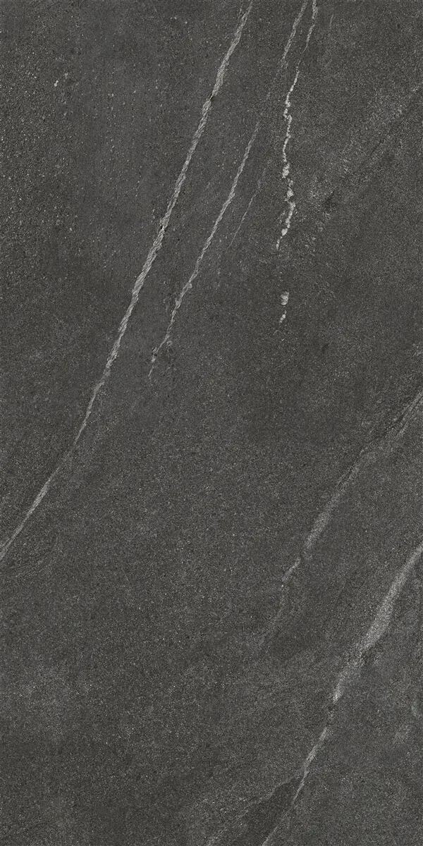 Керамогранит P14508.6 Tiger Matt Black Rect 60x120