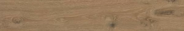 Керамогранит Oxford Brown Mat 20x120