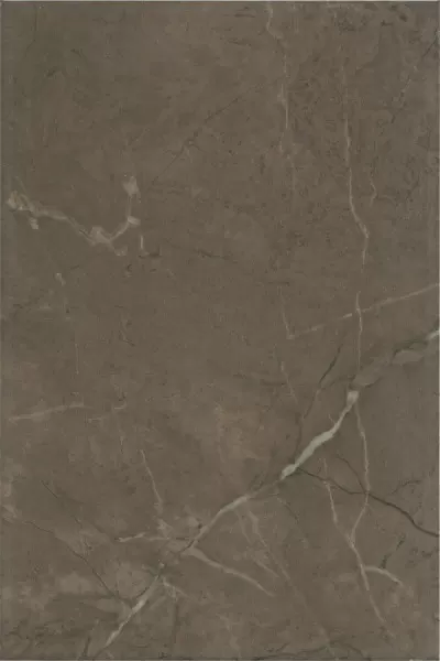 Плитка 8316 Эль-Реаль коричневый 20x30