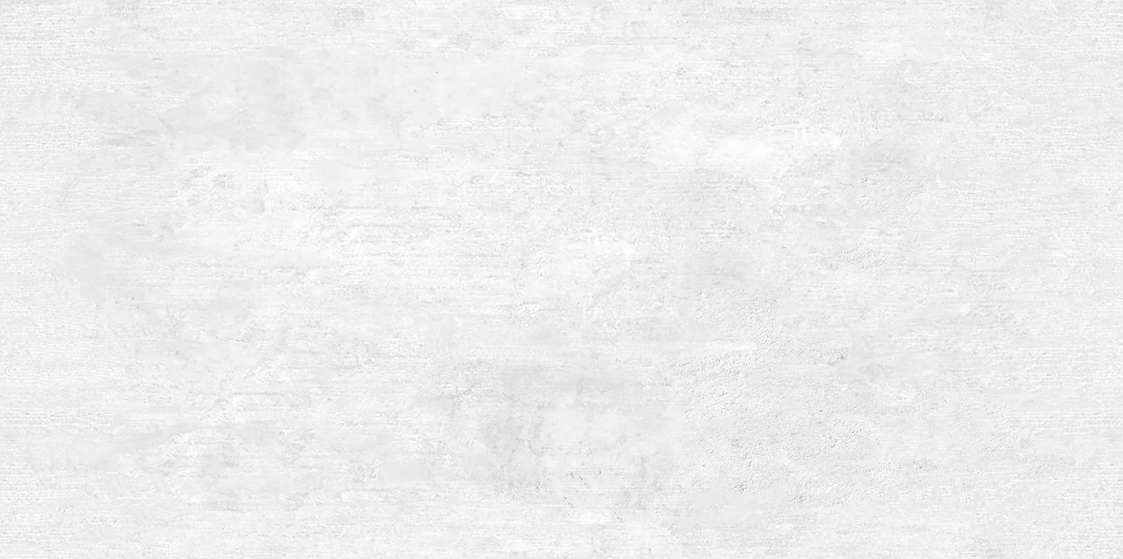 Плитка WT9BTN00 Beton Gray 24.9х50
