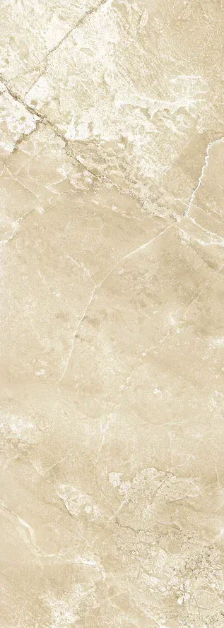 Плитка 271 BCU3BG BARCELONA темная 24.5x69.5