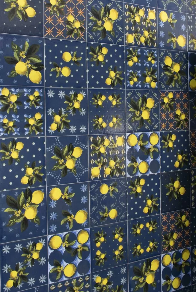 Керамогранит Giardino Blu Mix Luc 20x20