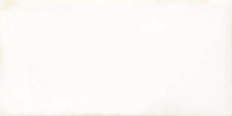Плитка WARMB520 Retro White 20x40